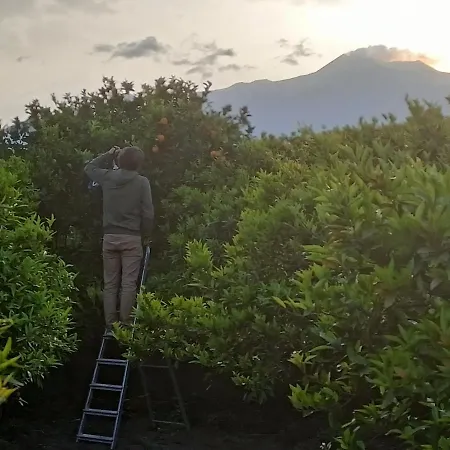 Giardino Arancio - Casa vacanze *