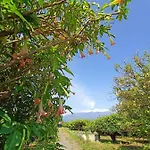 Giardino Arancio - Casetta Prázdninový dům