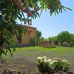 Giardino Arancio - Casetta Giarre