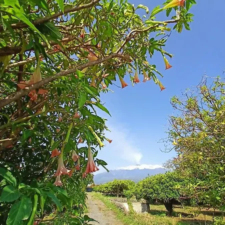 Giardino Arancio - Holiday home