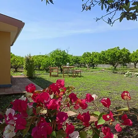 Giardino Arancio - *