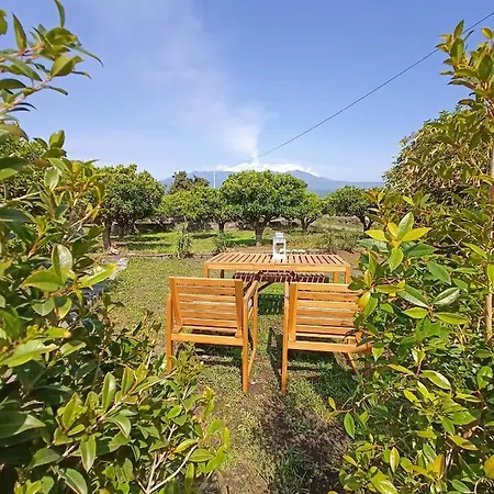 Giardino Arancio - * Giarre