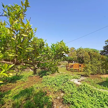 Holiday home Giardino Arancio -