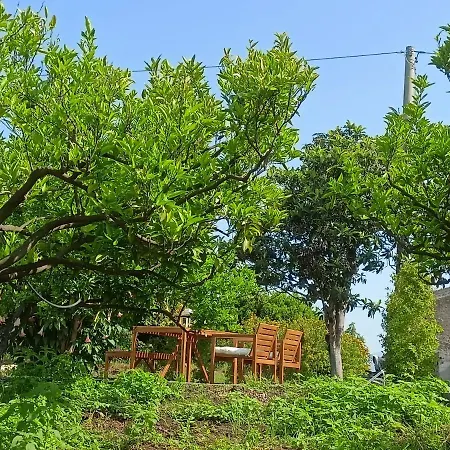 Holiday home Giardino Arancio - *